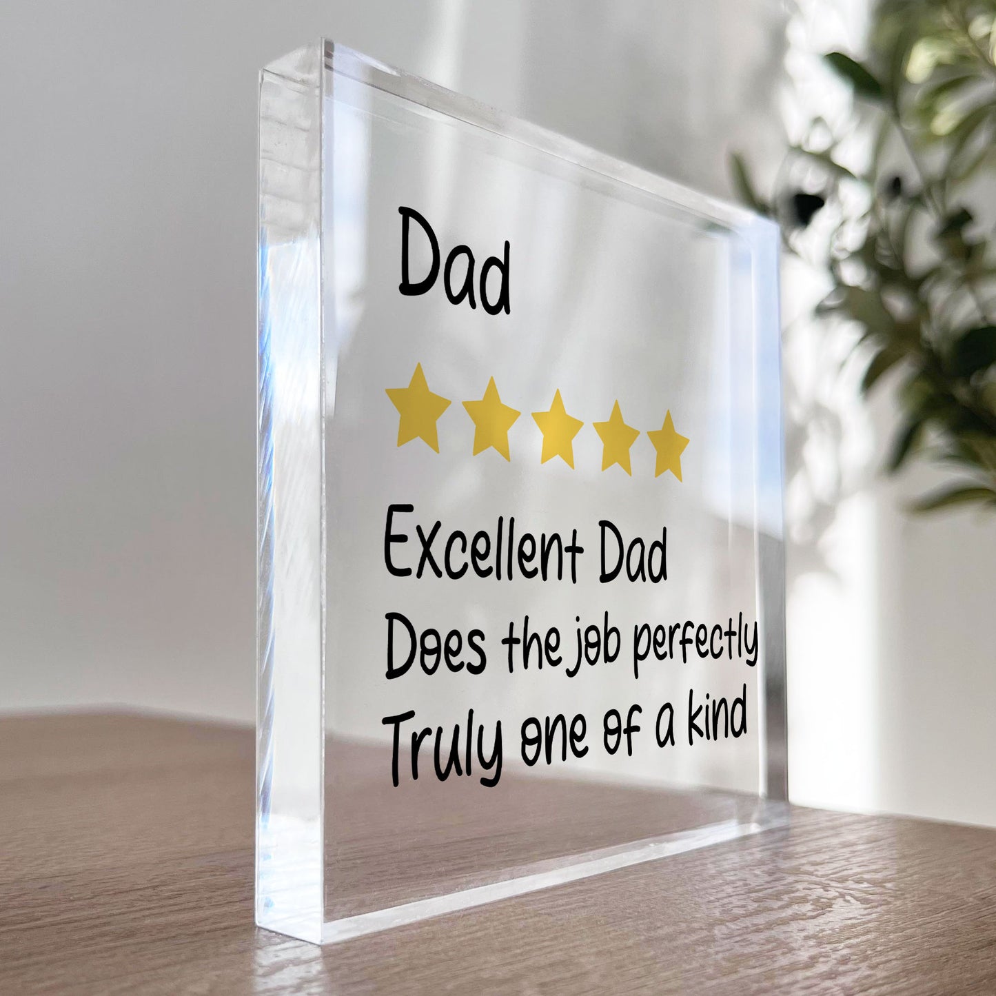 Funny Gift For Dad Birthday Christmas Fathers Day Gifts Dad Gift