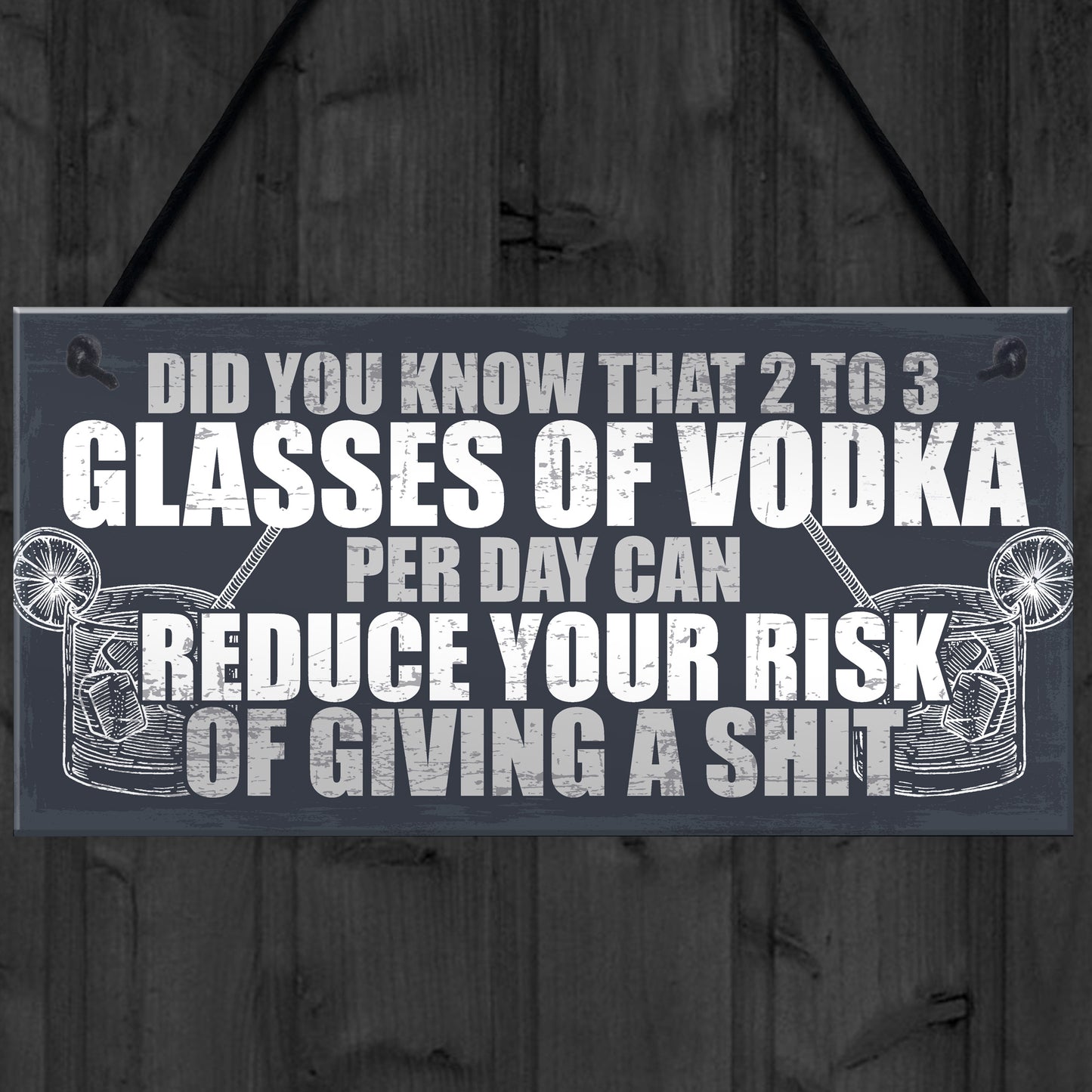 Funny Alcohol Gift Home Bar Sign Vodka Garden Pub Shed Plaque