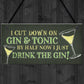 Novelty Gin & Tonic Hanging Sign Plaque Friendship Gift Home Bar