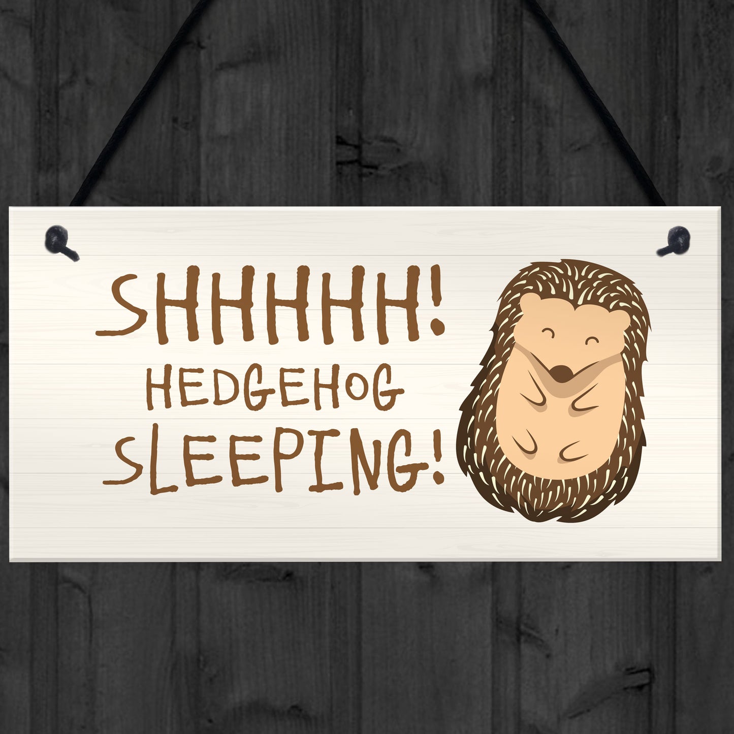 Funny Hedgehog Sign Garden Plaques Hedgehog Sleeping Outdoor