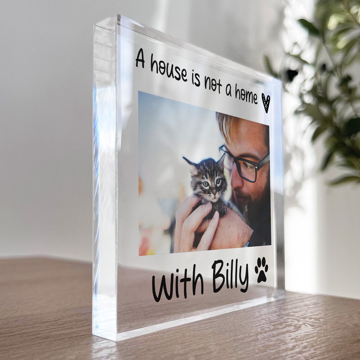 Personalised Cat Sign Dog Sign Cat Gifts Dog Gifts Home Decor