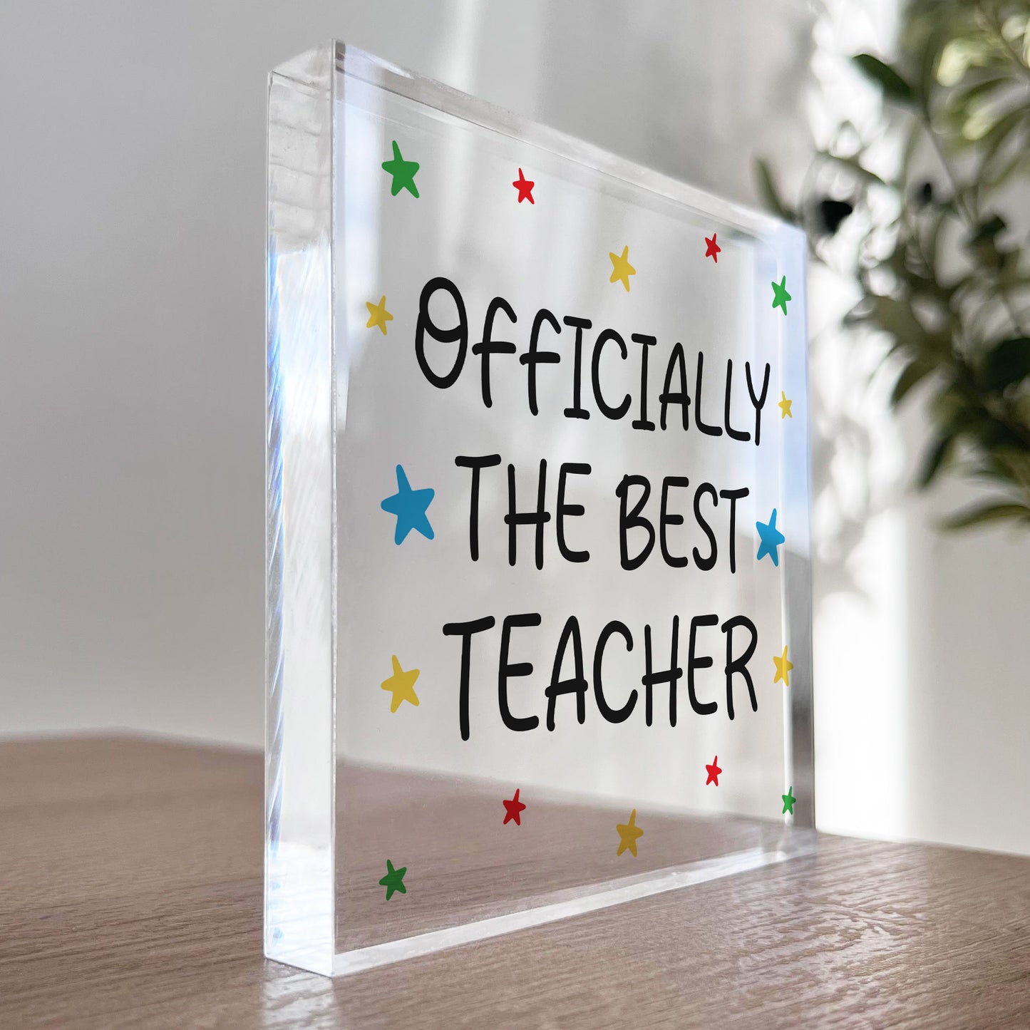 Teacher Gifts From Student BEST TEACHER Plaque Thank You Gifts