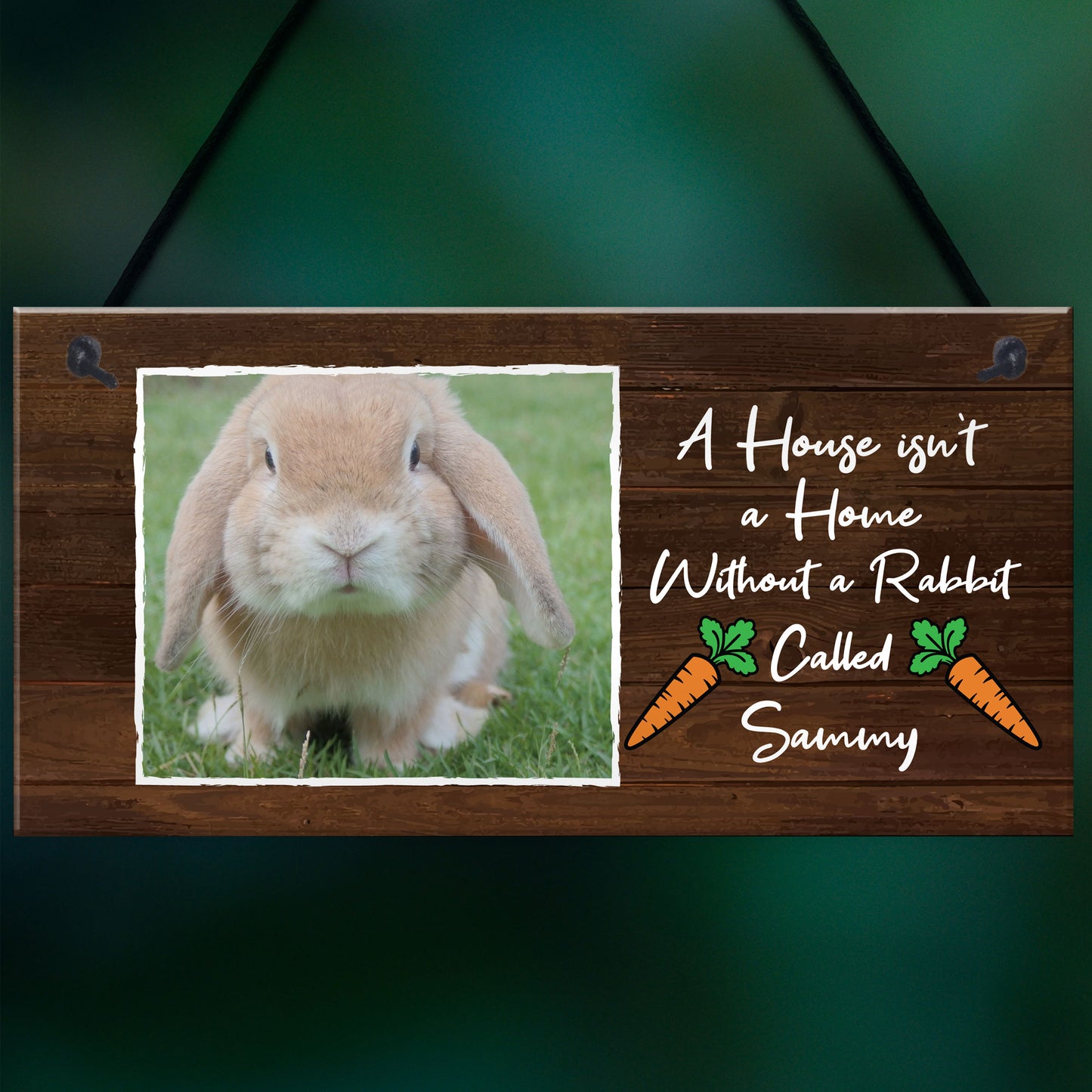 Novelty Rabbit Sign For Home Hanging Personalised Photo Plaque