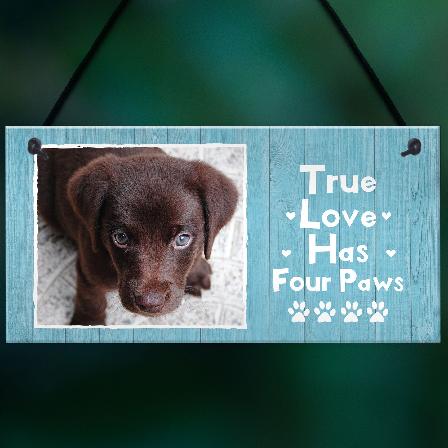 PERSONALISED Custom Photo Dog Sign Novelty Dog Animal Lover