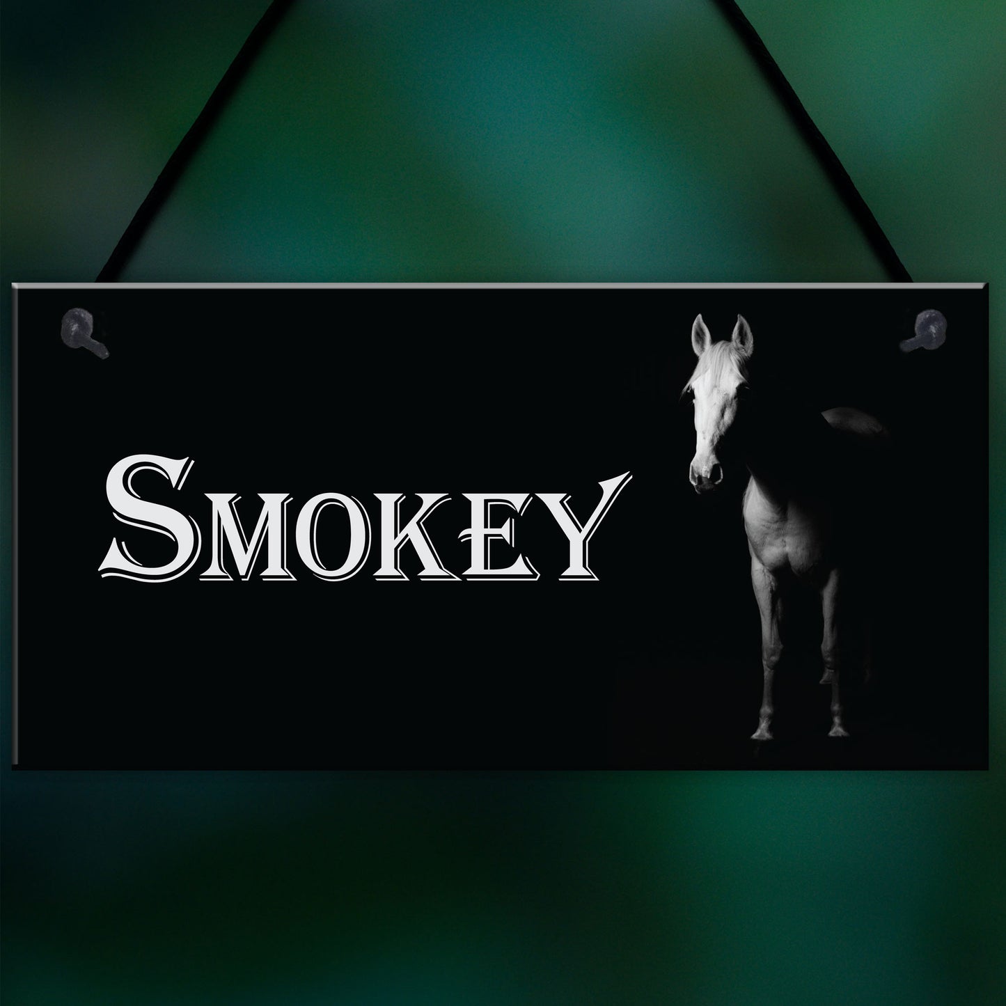 Personalised White Horse Pony Stable Name Plate Hanging Plaque