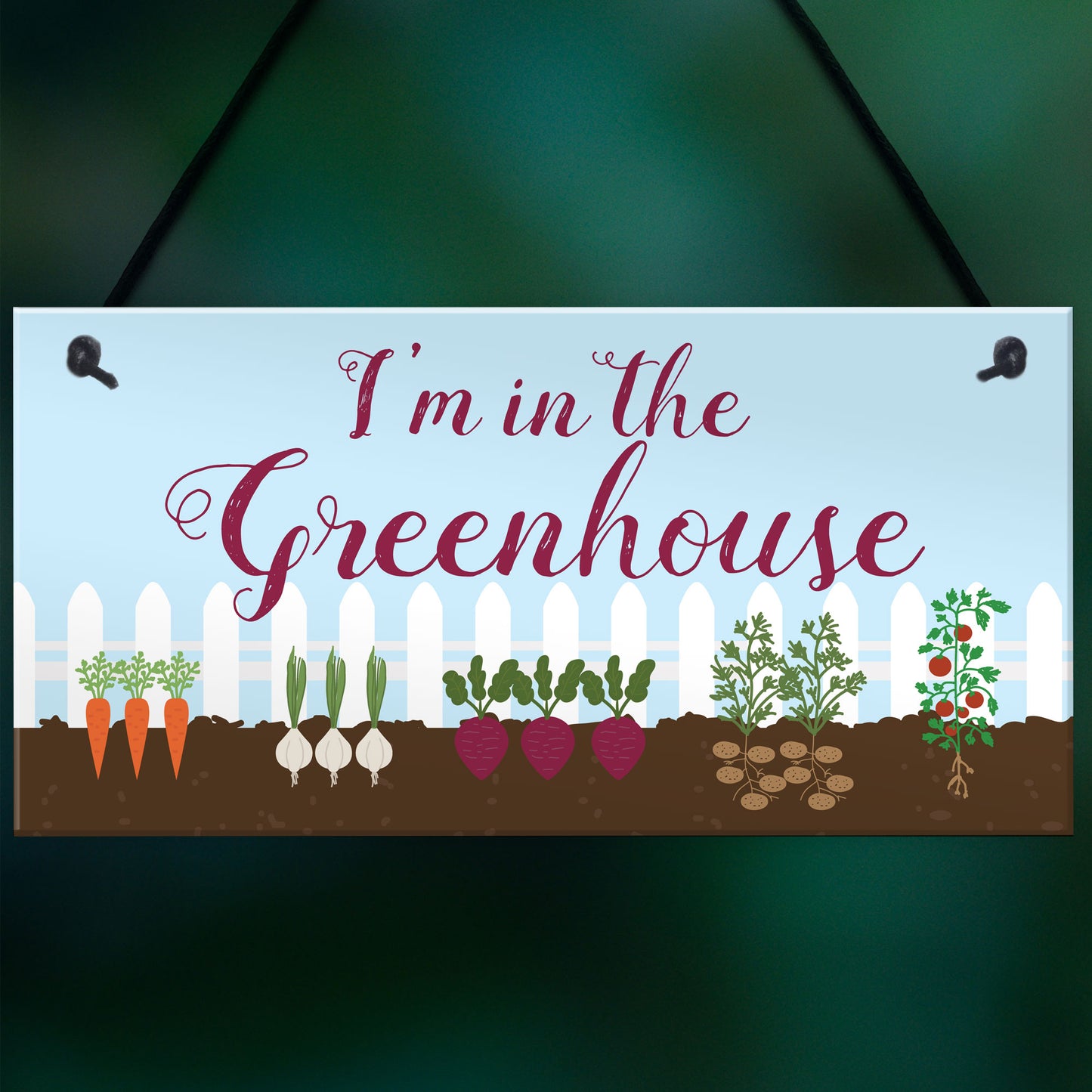 Im In The Greenhouse Sign Hanging Wall Door Plaque Garden Shed