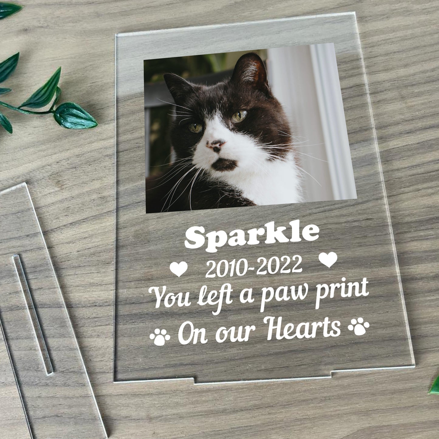 Personalised Cat Dog Memorial Standing Plaque Family Gift Pet