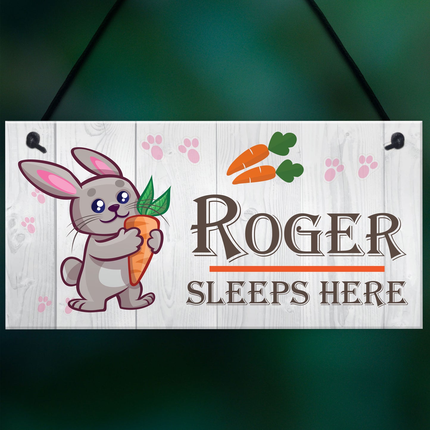 Personalised Rabbit Hutch / Bunny Sleeps Here Hanging Sign Gift