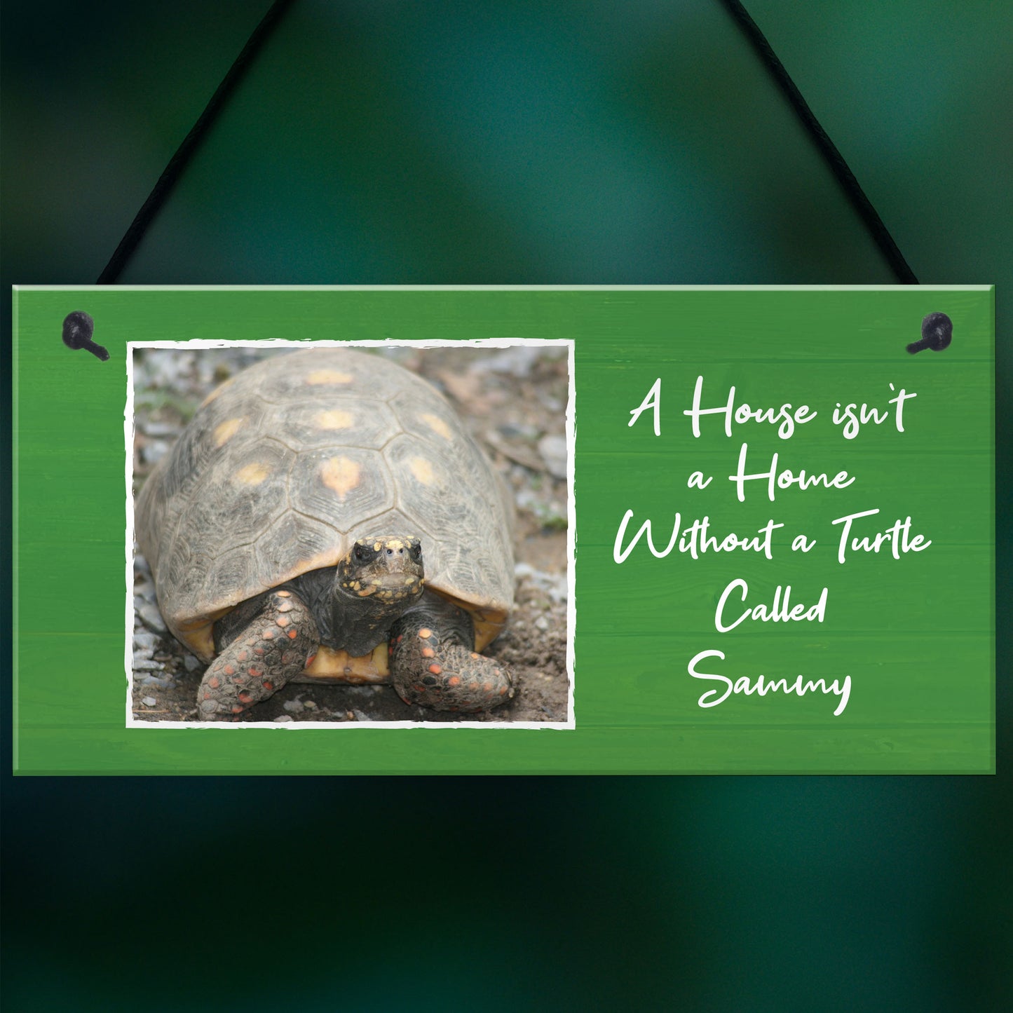 Novelty Turtle Tortoise Sign For Home Tank Hanging Personalised