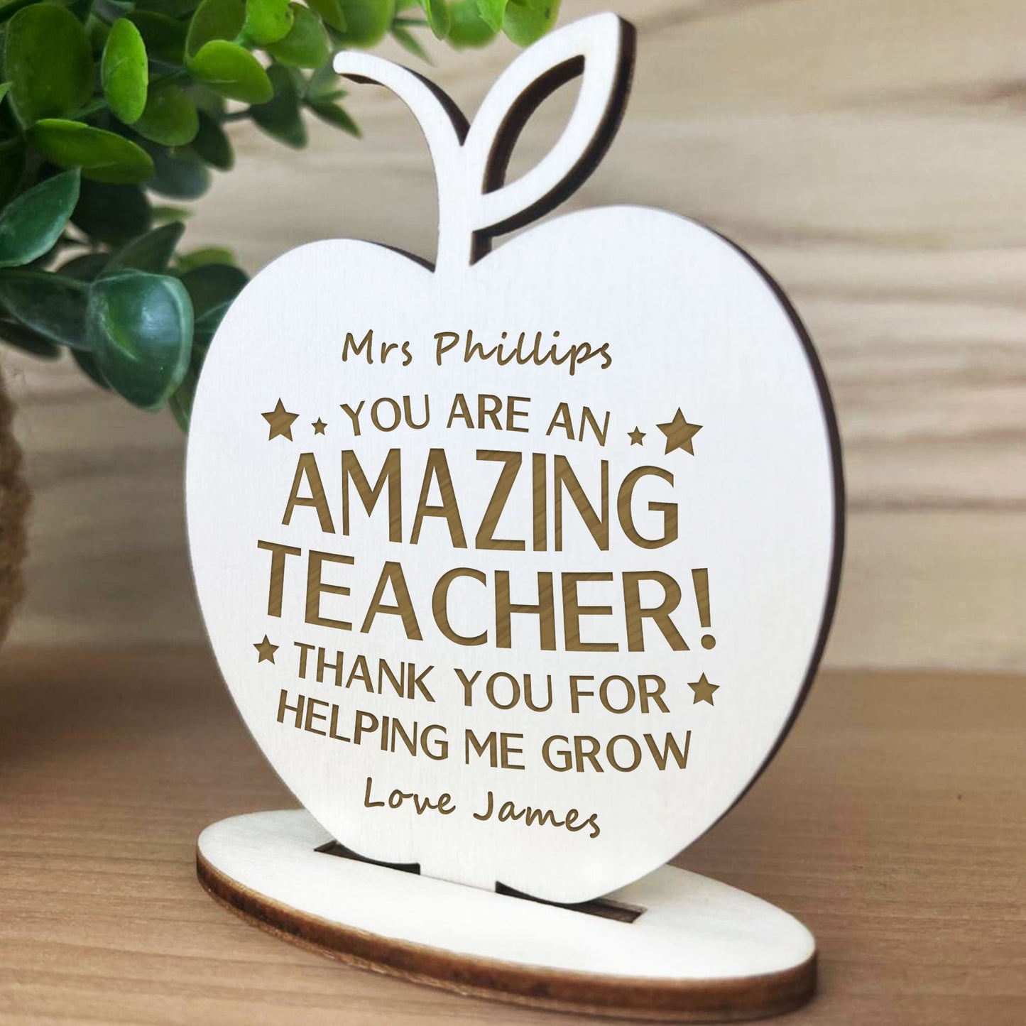 TEACHER GIFT Engraved Sign Apple School Nursery Pre School