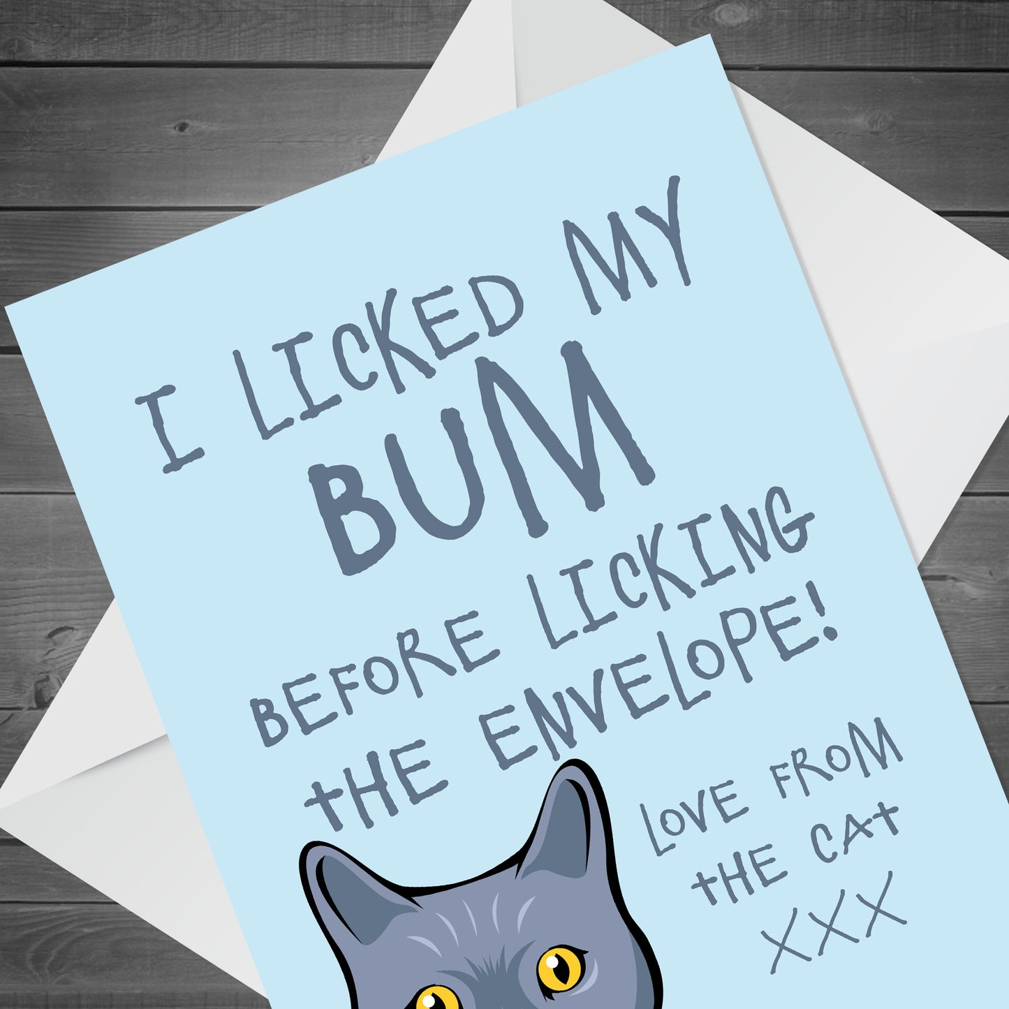 Funny Birthday Card From The Cat Pet Animal Cat Bum Rude Card