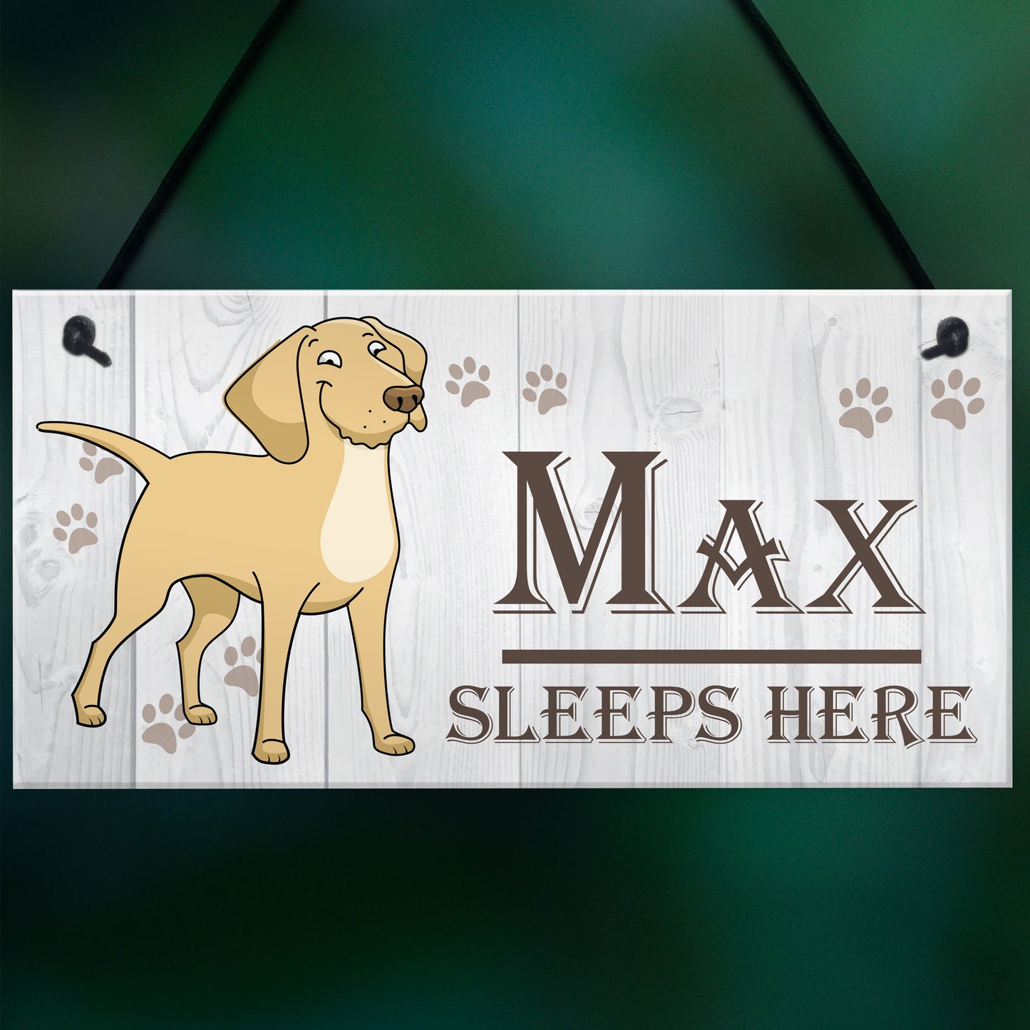 Personalised Dogs Name Sleeps Here Hanging Kennal Bed Sign Gift