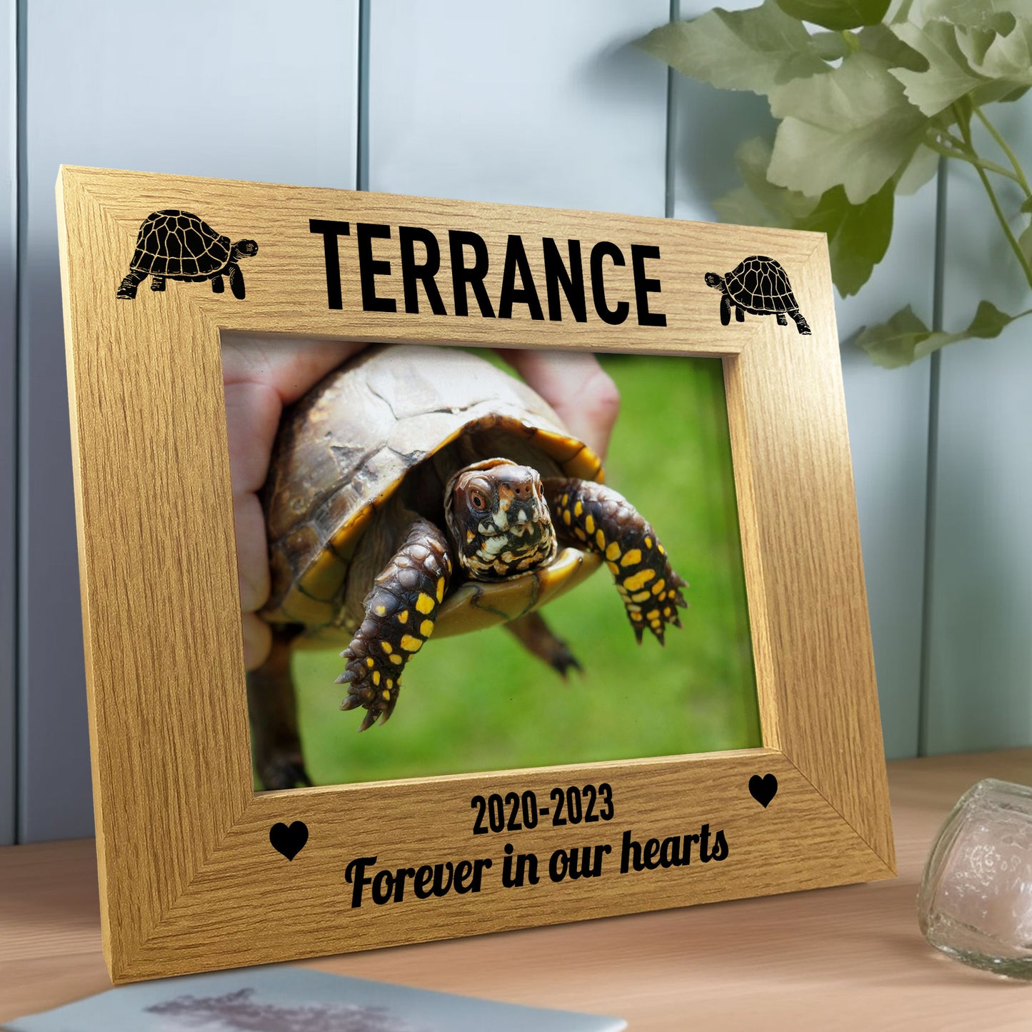 Tortoise Photo Frame Personalised Memorial Gift Tortoise Gifts