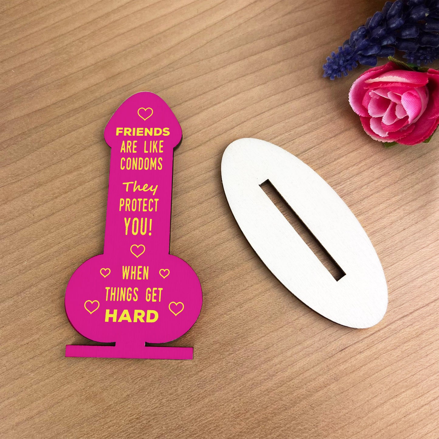 Funny Rude Friendship Plaque Novelty Gift For Best Friend Joke