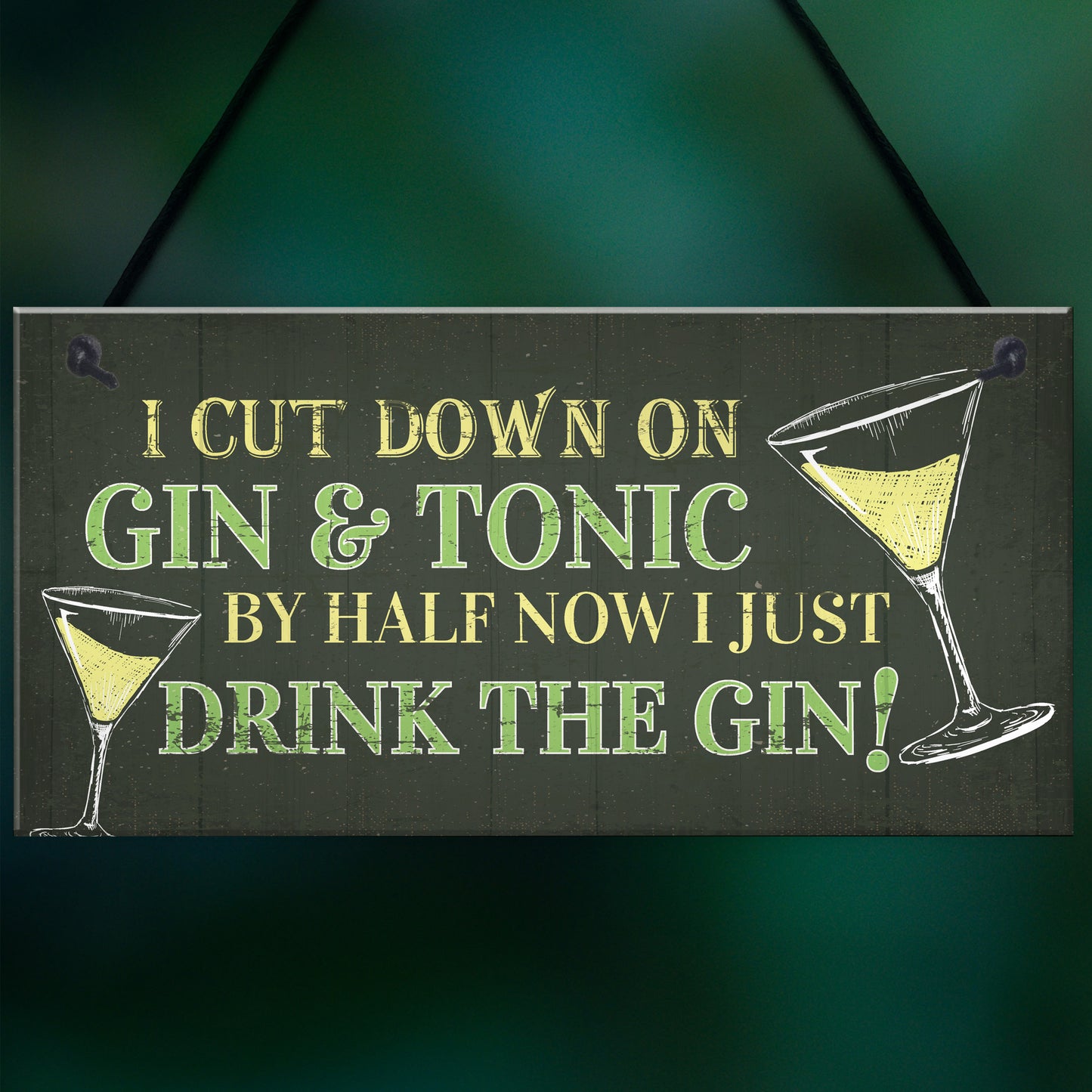 Novelty Gin & Tonic Hanging Sign Plaque Friendship Gift Home Bar