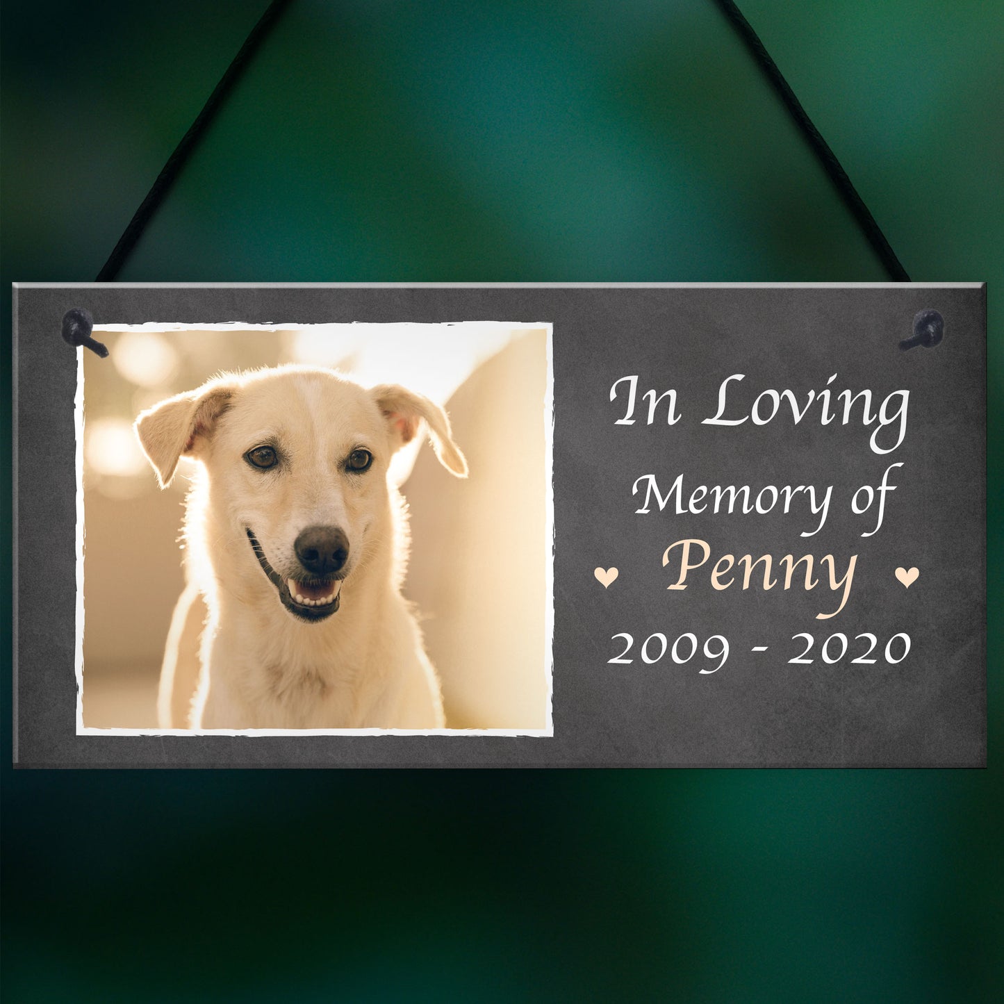 Personalised Photo Plaque Gift For Dog Animal Lover Novelty Gift