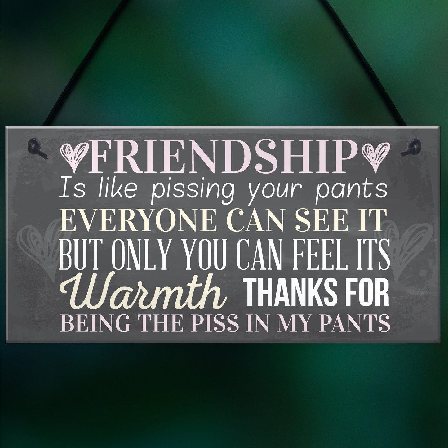 Best Friend Sign Friendship Gift Funny Thank You Hanging Plaque