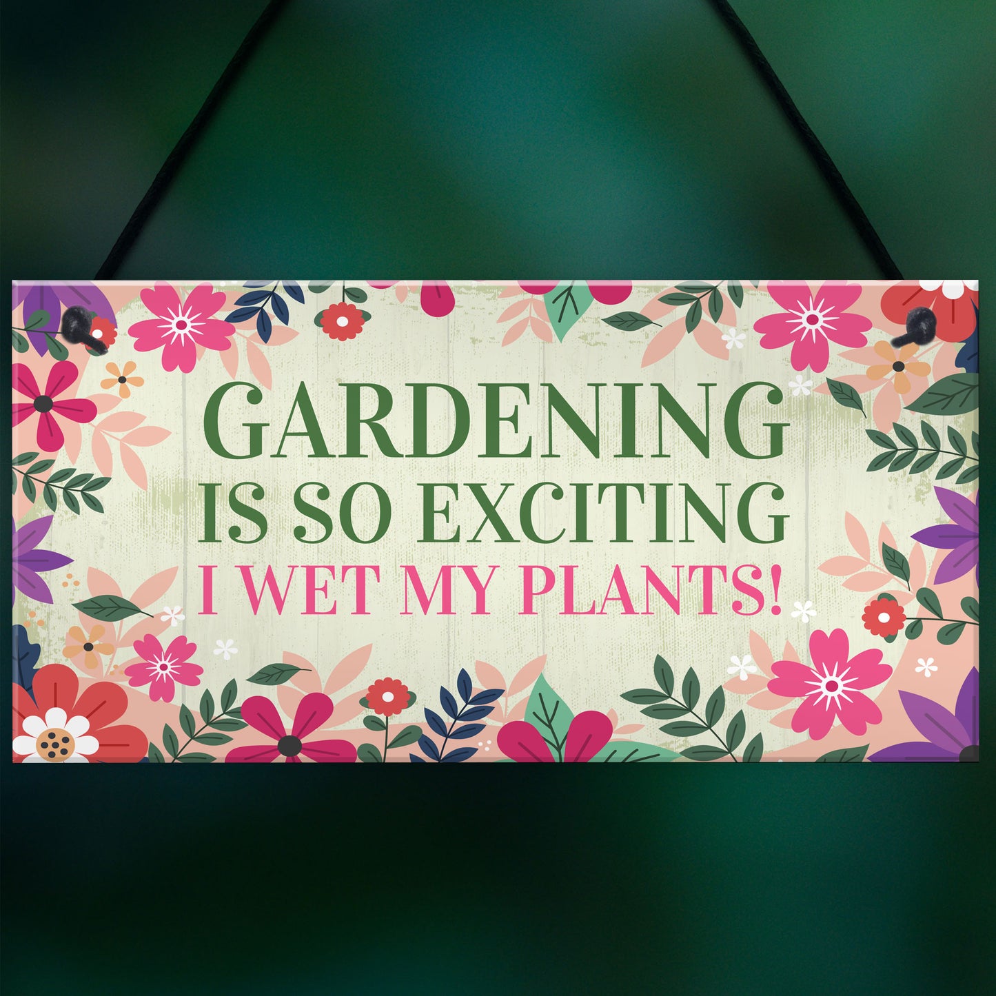 Funny Garden Plaque Gardening Gifts Hanging Garden Shed Signs