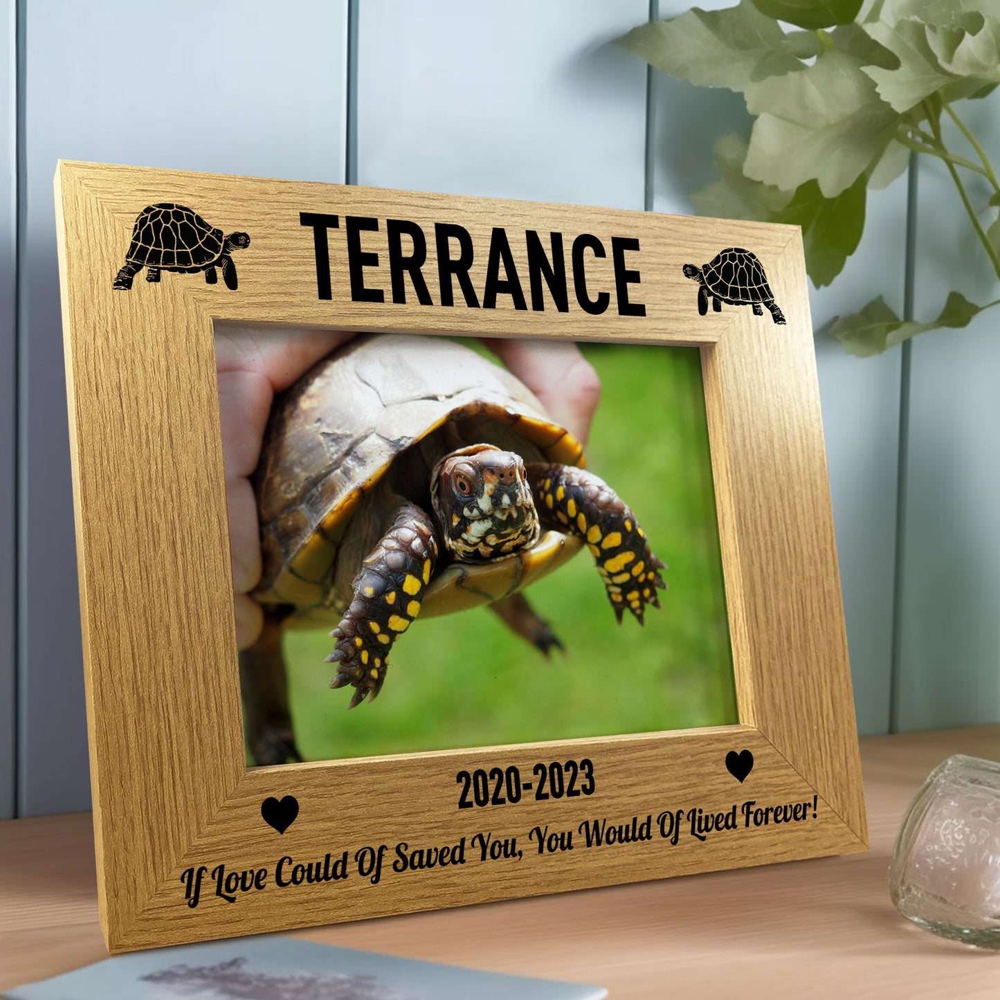 Personalised Tortoise Turtle Memorial Photo Frame Gift for Pet