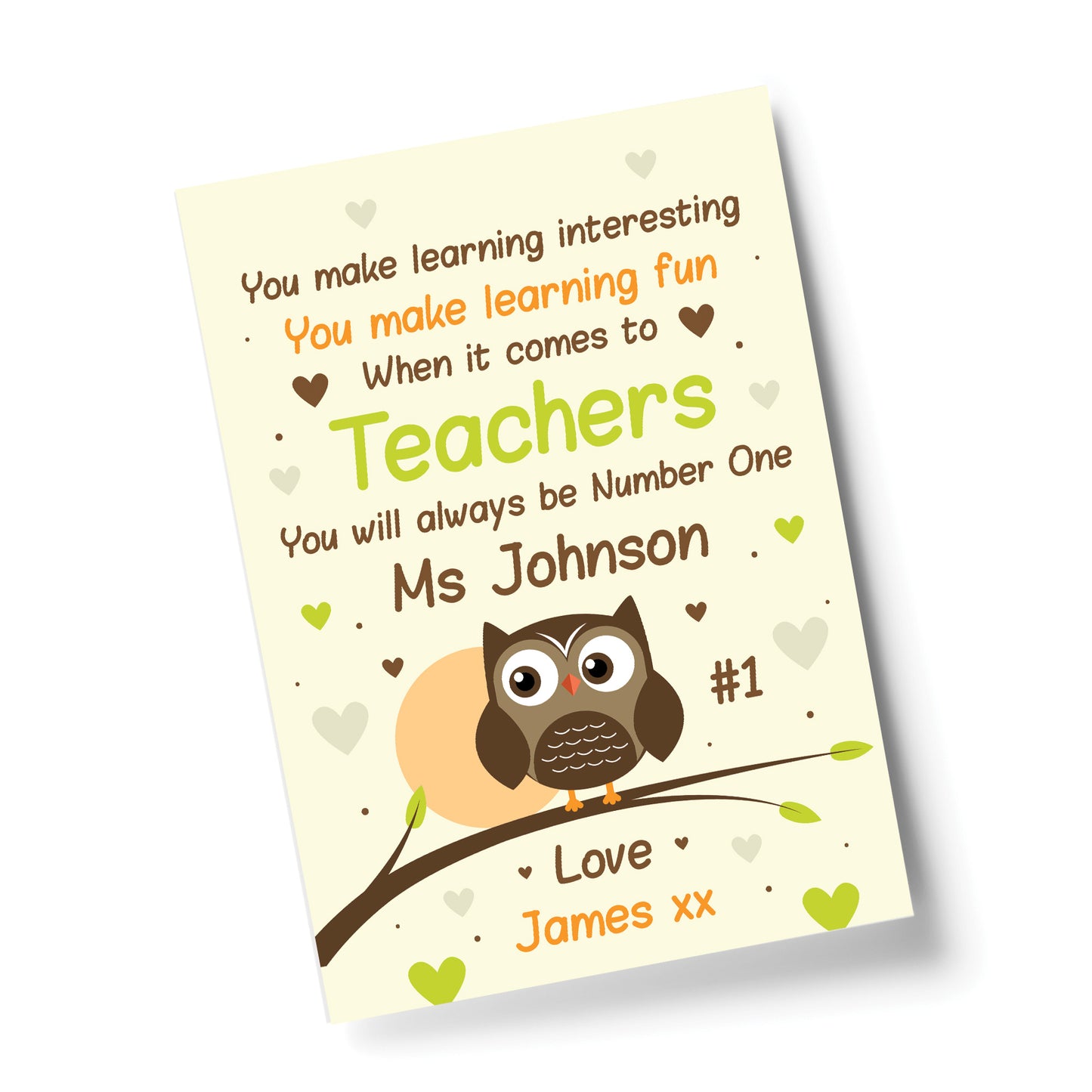 Personalised Thankyou Teacher Assistant Leaving School Owl Gift