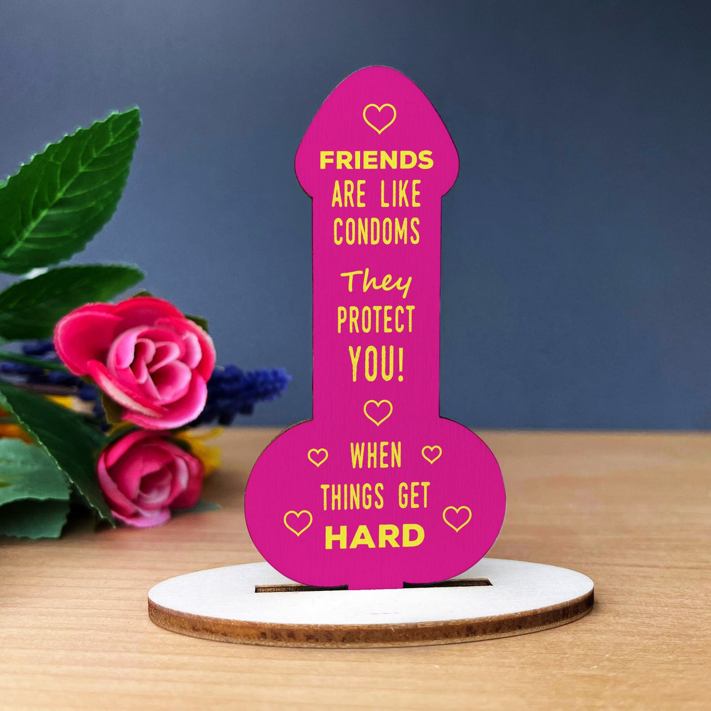 Funny Rude Friendship Plaque Novelty Gift For Best Friend Joke