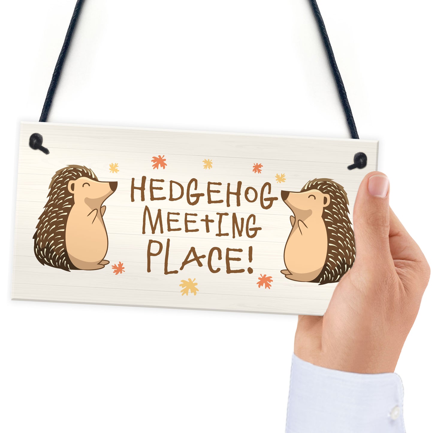 Funny Garden Sign Hedgehog Plaque MEETING PLACE Home Decor