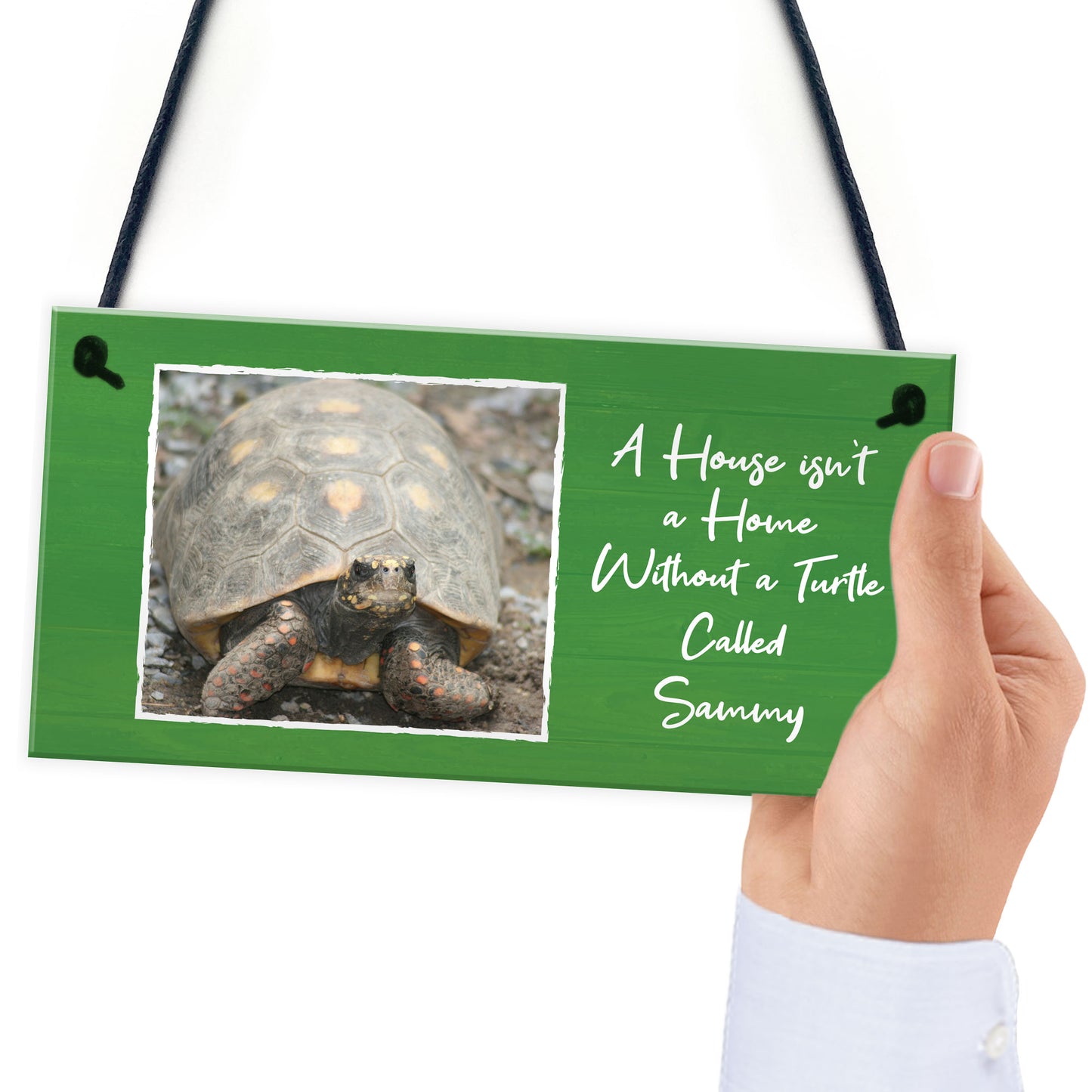 Novelty Turtle Tortoise Sign For Home Tank Hanging Personalised