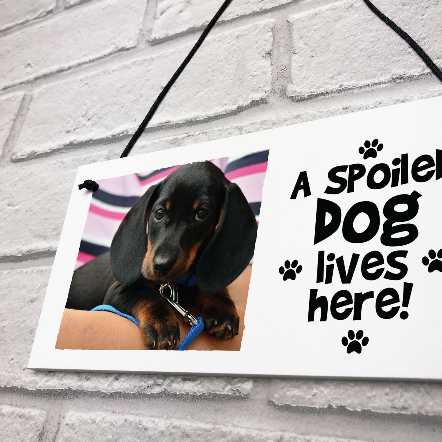 Personalised Dog Wall Plaque Novelty Dog Accessories Pet Gifts