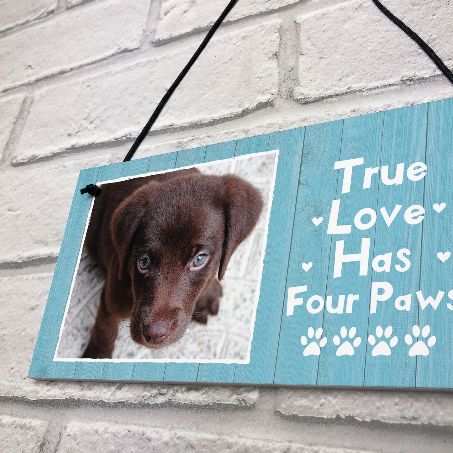 PERSONALISED Custom Photo Dog Sign Novelty Dog Animal Lover