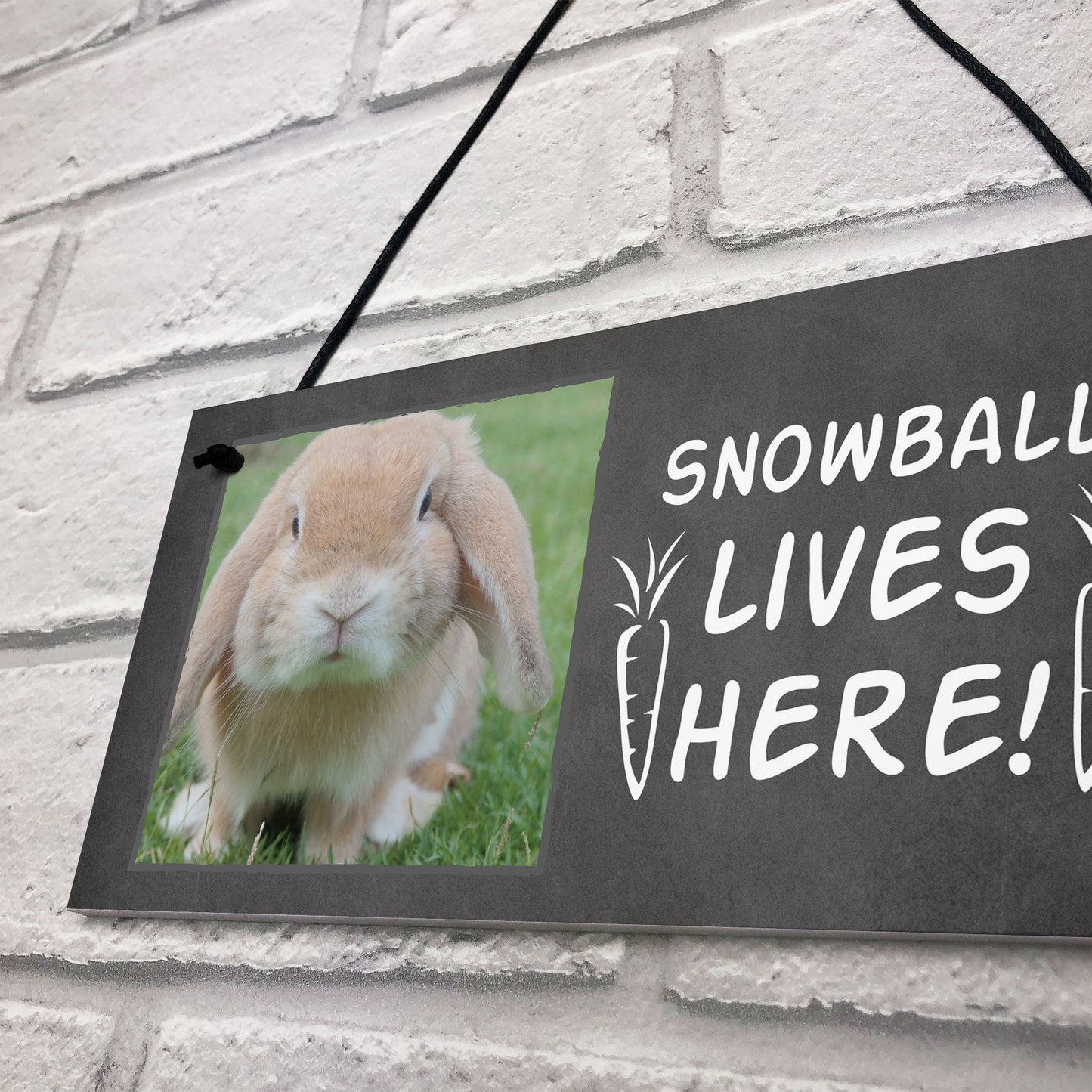 Novelty Sign For Rabbit PERSONALISED Bunny Sign Hutch Sign