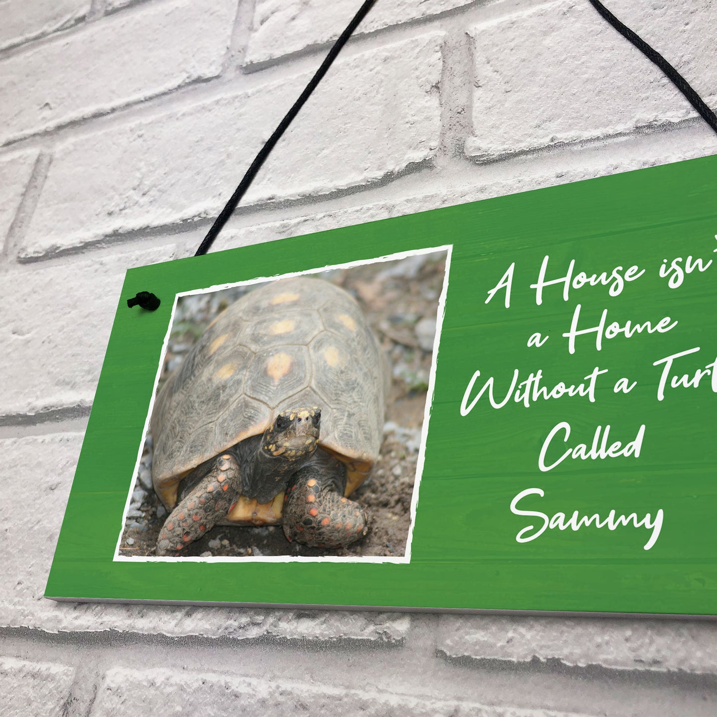 Novelty Turtle Tortoise Sign For Home Tank Hanging Personalised