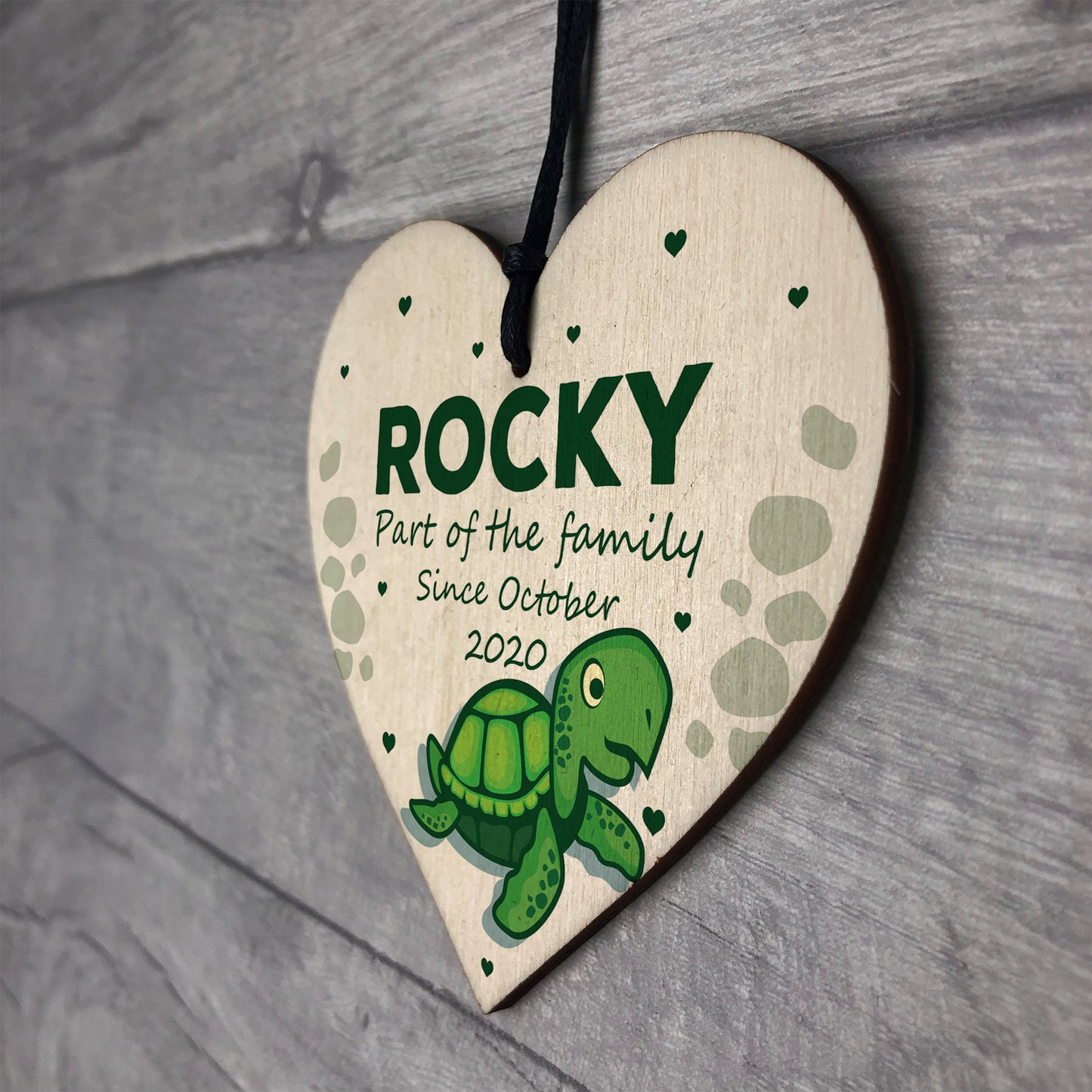 Personalised Turtle House Pet Gift For Turtle Tortoise Tank Sign