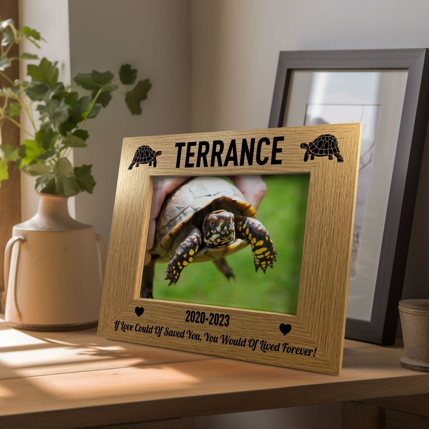 Personalised Tortoise Turtle Memorial Photo Frame Gift for Pet