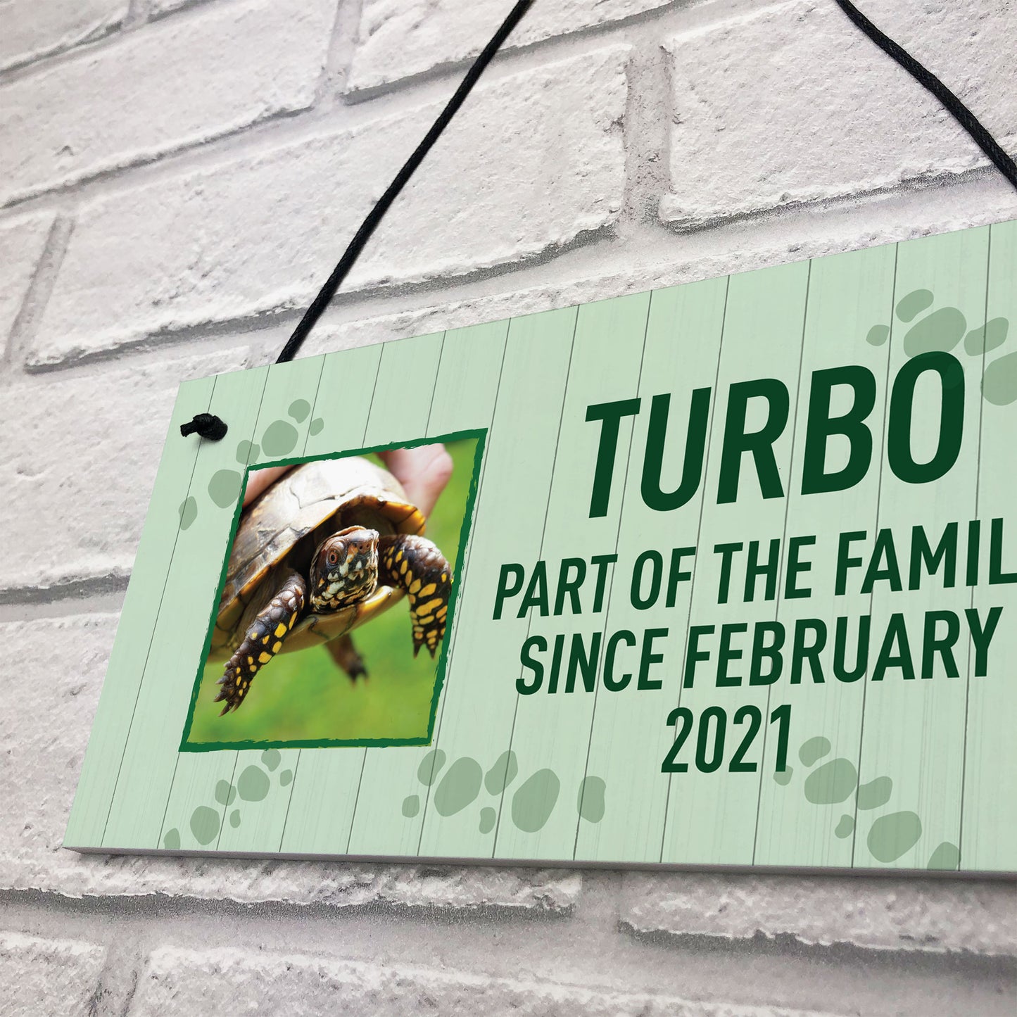 Personalised Turtle Sign For Home Pet Gift Turtle House Sign