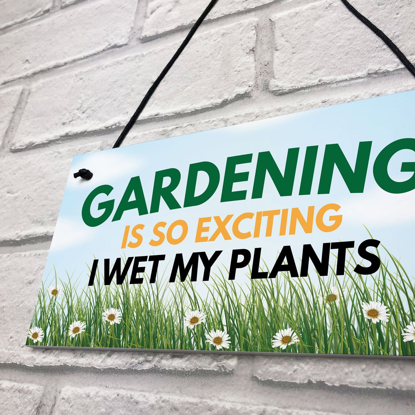 Funny Garden Signs I WET MY PLANTS Summerhouse Garden Shed Sign