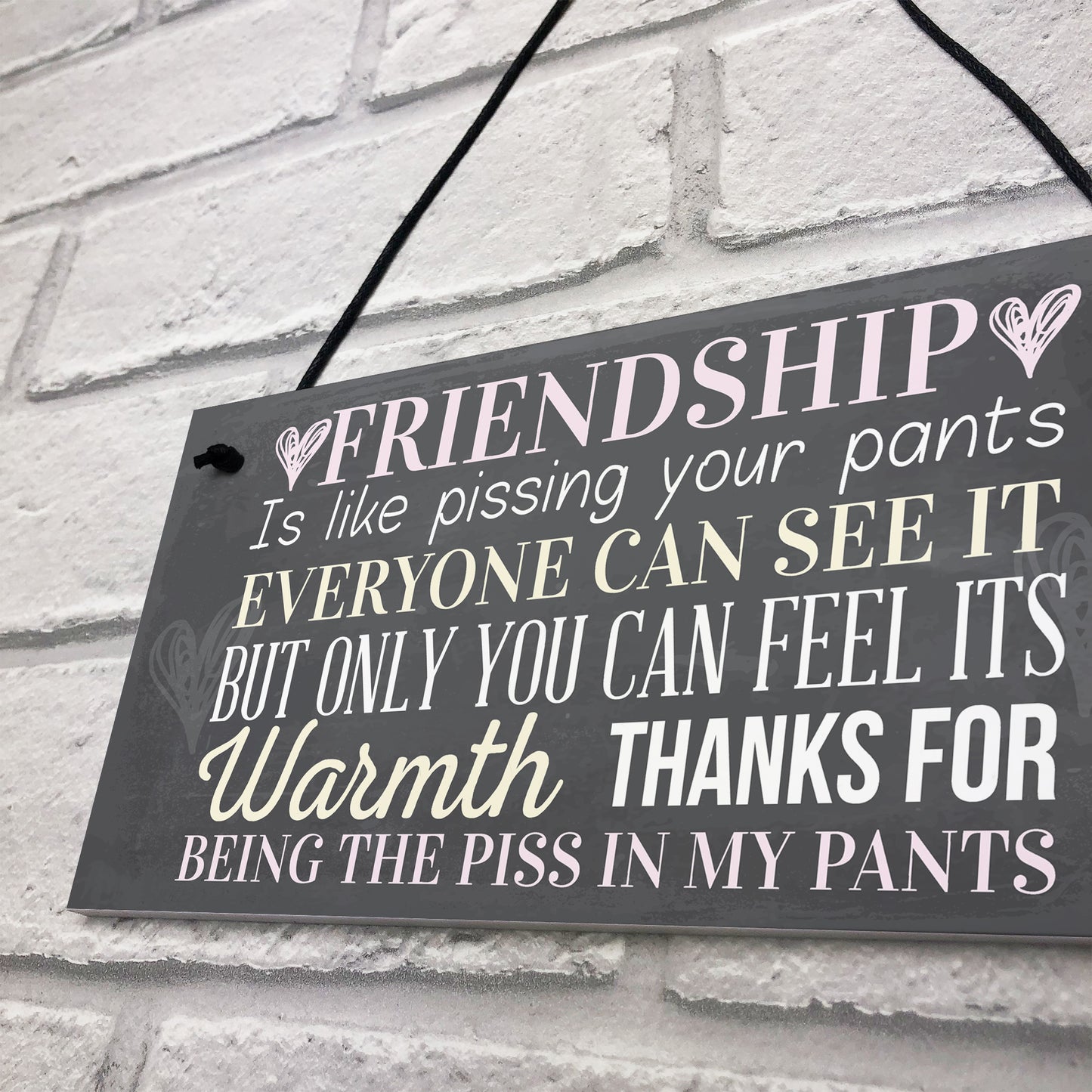 Best Friend Sign Friendship Gift Funny Thank You Hanging Plaque