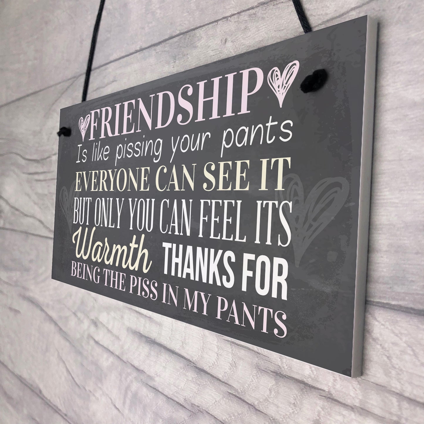 Best Friend Sign Friendship Gift Funny Thank You Hanging Plaque