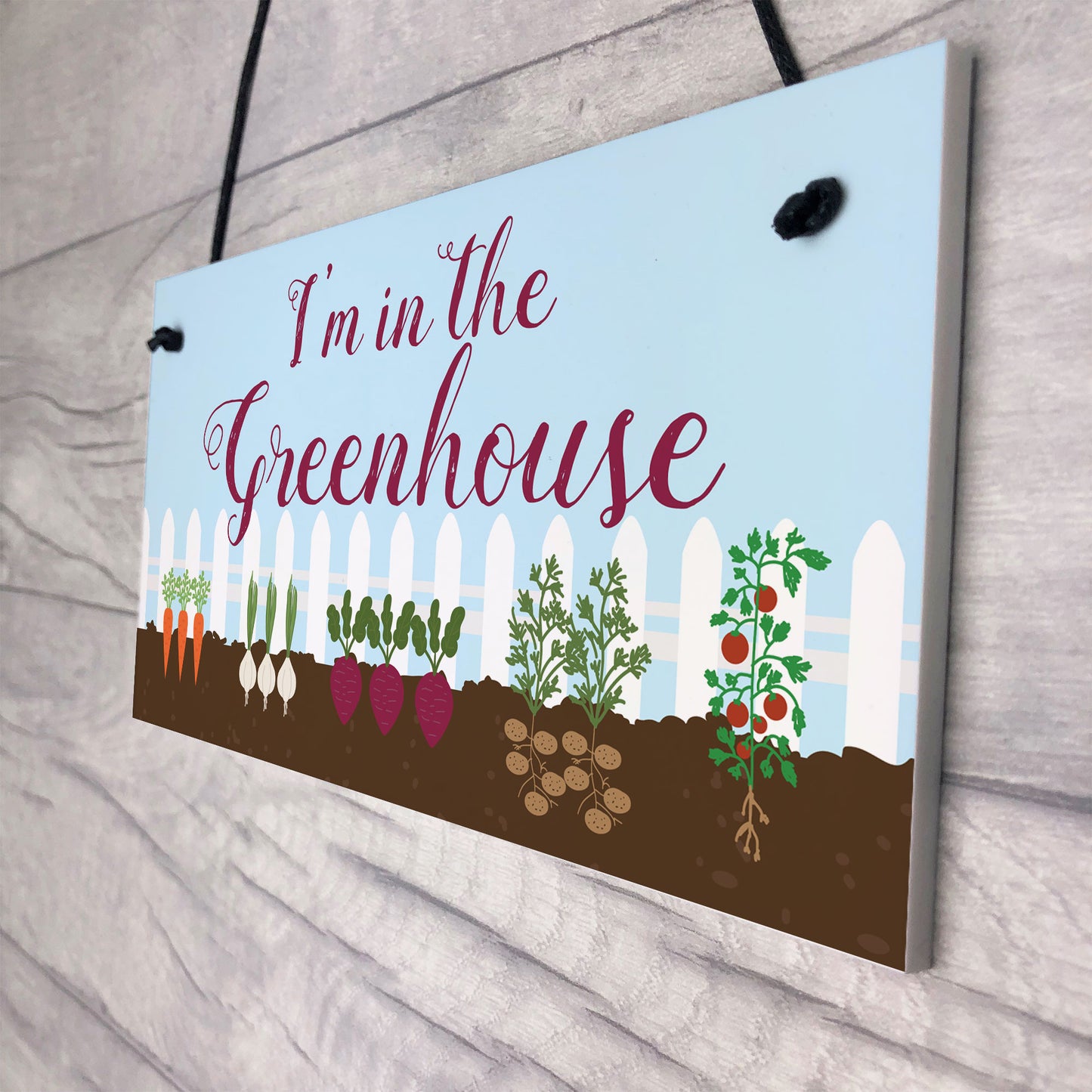 Im In The Greenhouse Sign Hanging Wall Door Plaque Garden Shed