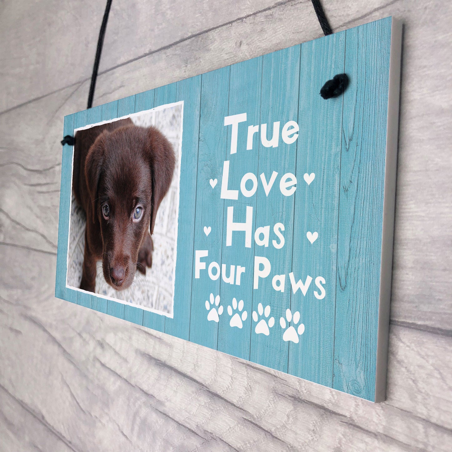 PERSONALISED Custom Photo Dog Sign Novelty Dog Animal Lover