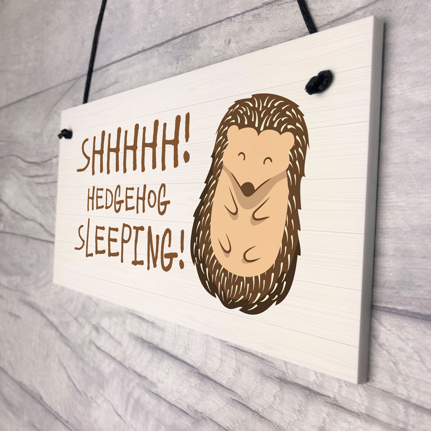 Funny Hedgehog Sign Garden Plaques Hedgehog Sleeping Outdoor