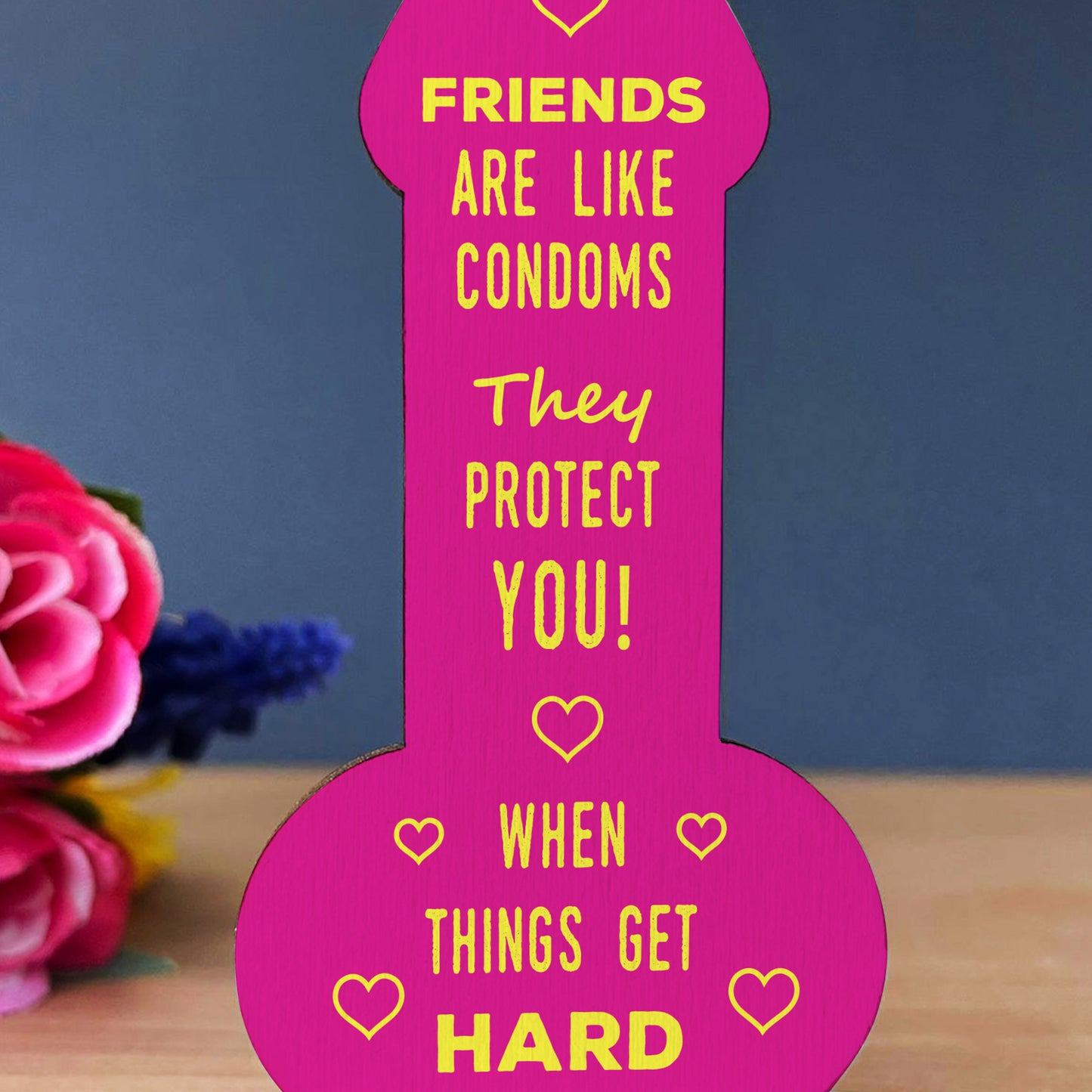 Funny Rude Friendship Plaque Novelty Gift For Best Friend Joke