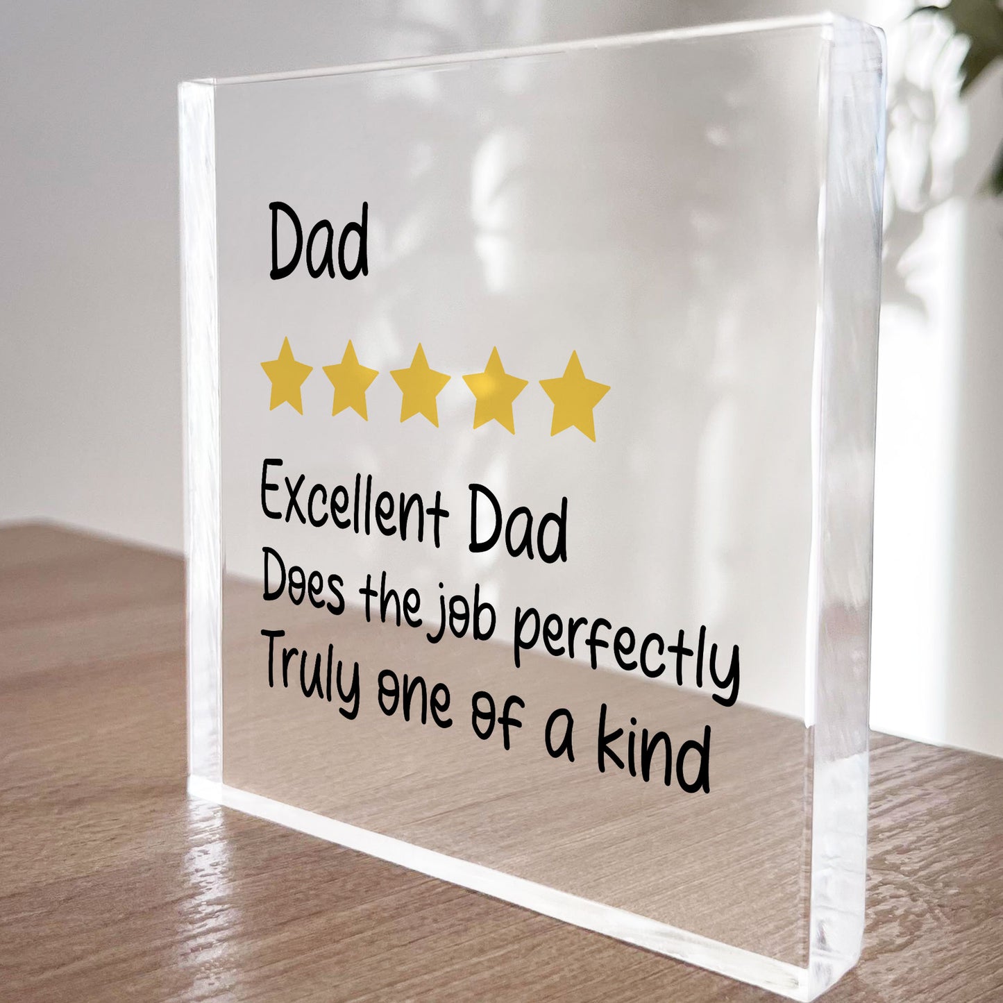 Funny Gift For Dad Birthday Christmas Fathers Day Gifts Dad Gift