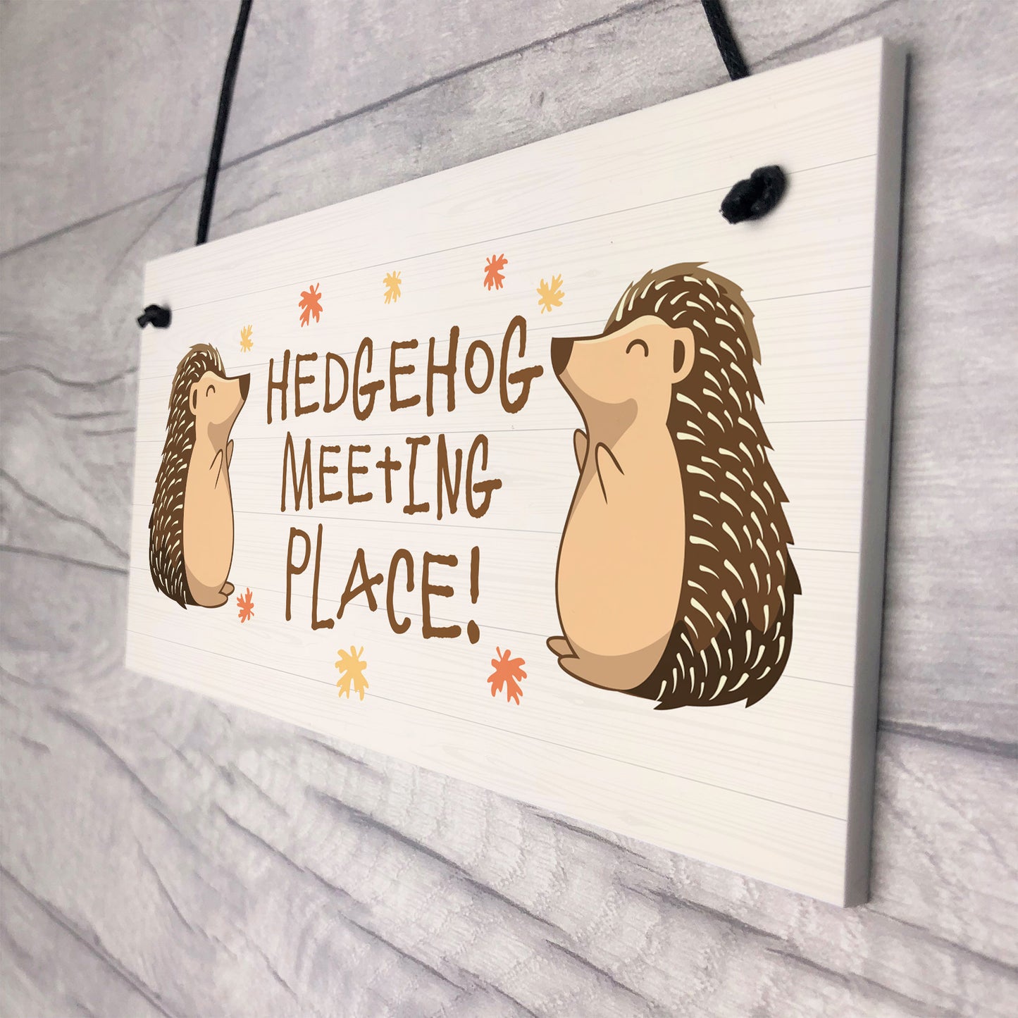 Funny Garden Sign Hedgehog Plaque MEETING PLACE Home Decor