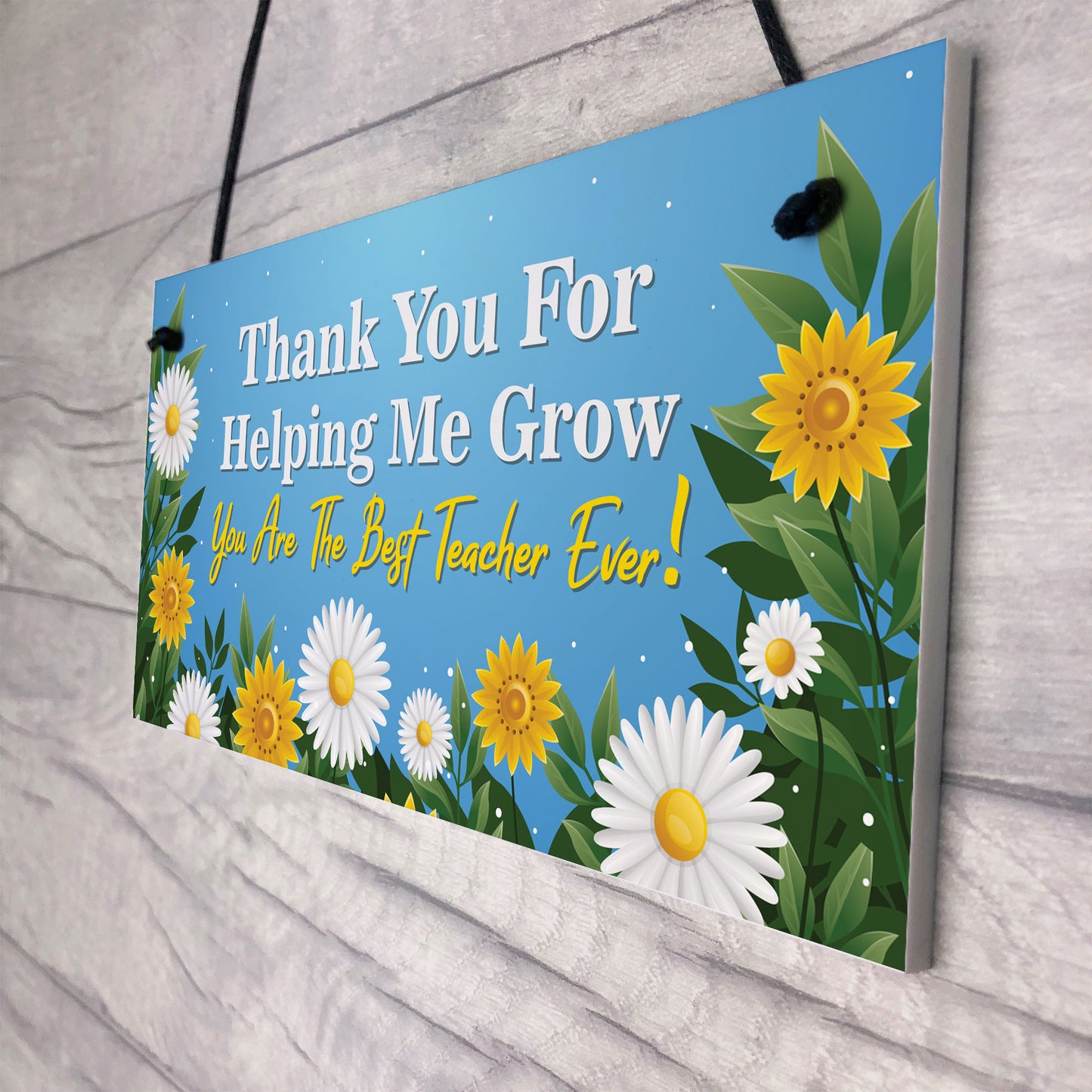 Teacher Gifts Plaque Thank You Gifts Leaving Gifts for School